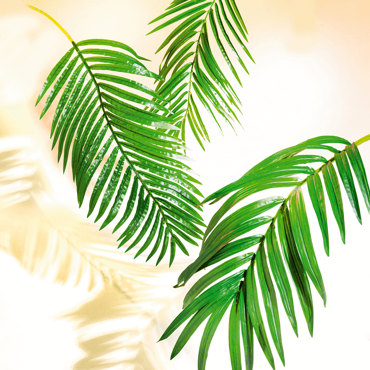Decorative Royal palm branch, length 180 cm - 2