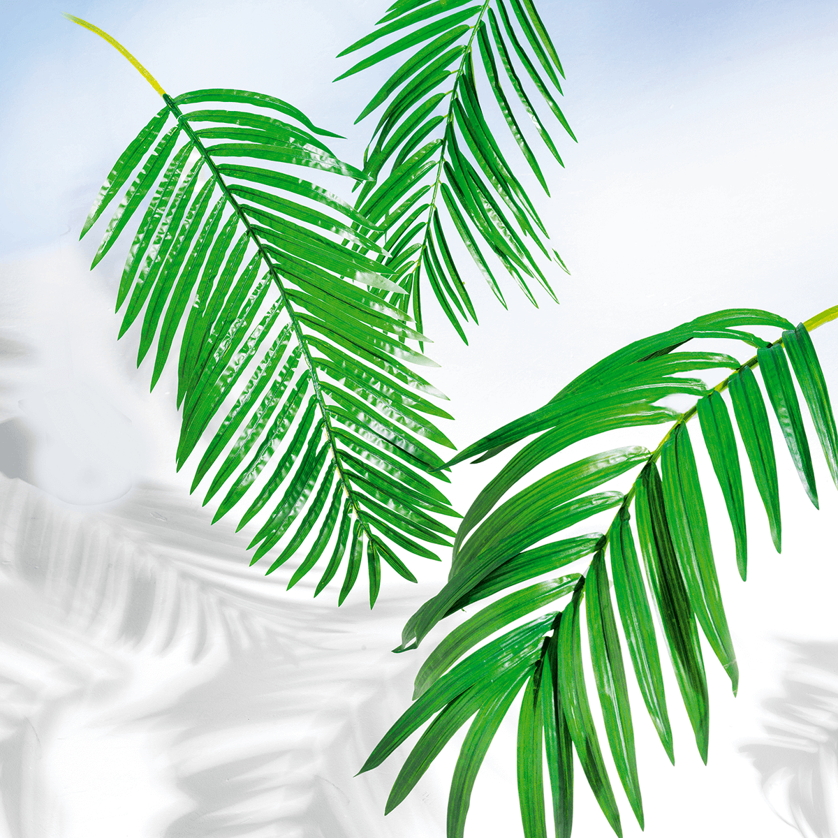 Decorative Royal palm branch, length 180 cm - 3