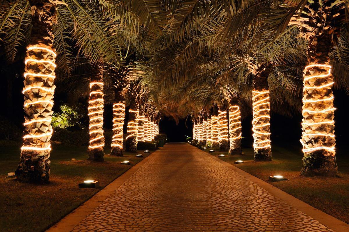 Tuyau lumineux pour l'illumination de décorations 44 m - 1