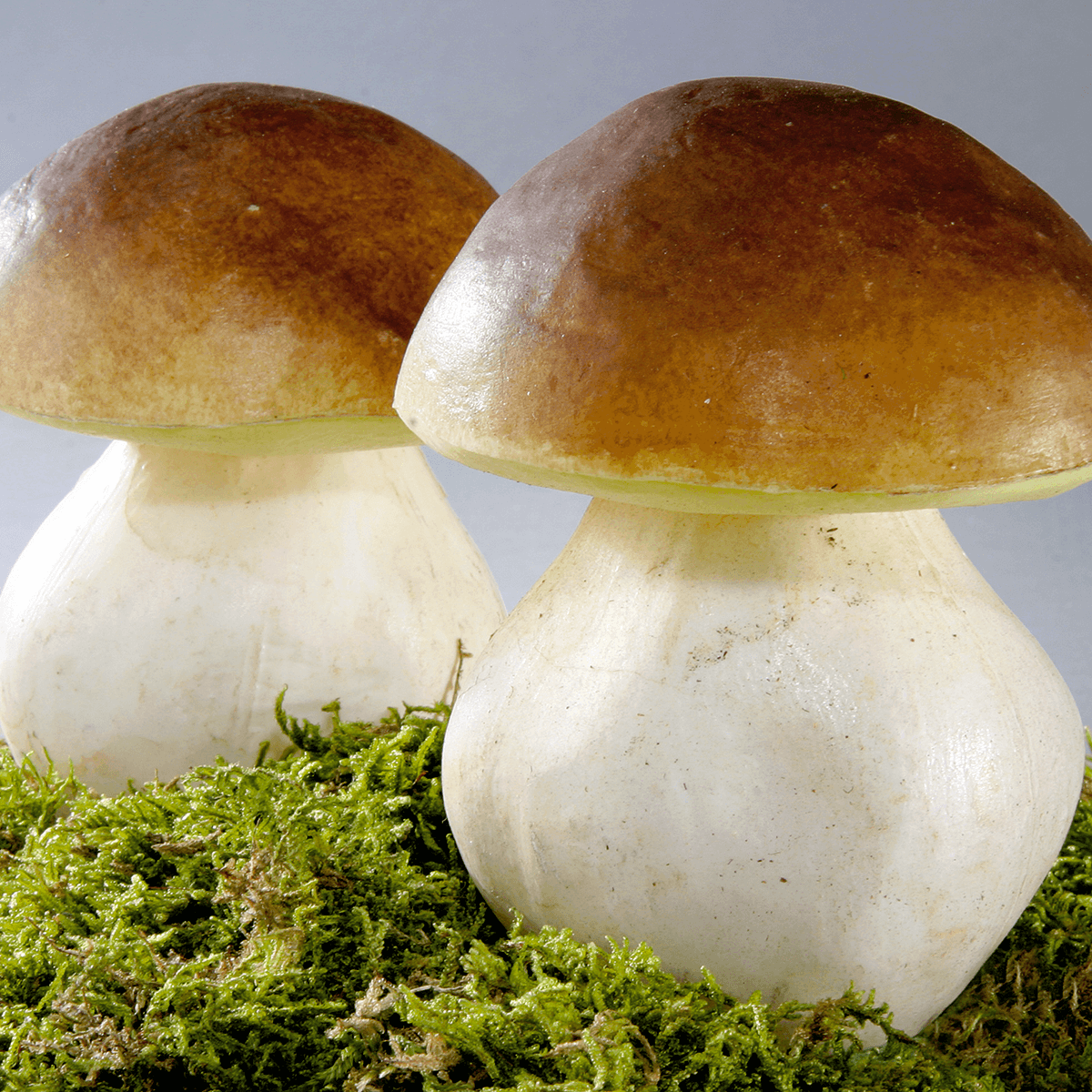 Cèpes aliment factice 14 cm, 2 pces - 3