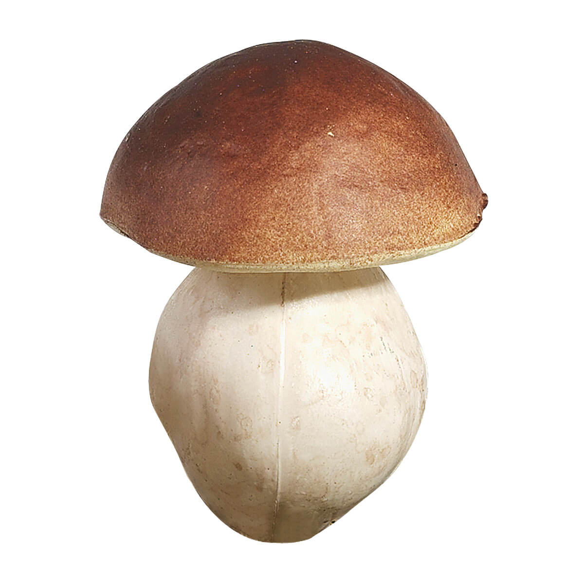 Cèpes aliment factice 14 cm, 2 pces - 0