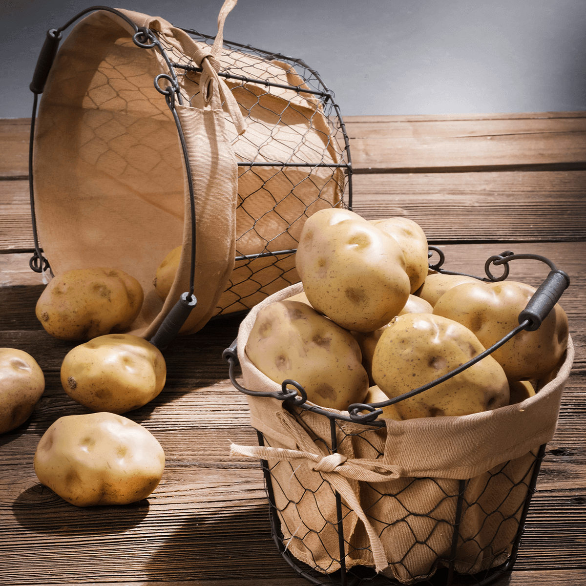 Pomme de terre aliment factice 11 cm, 3 pièces - 3