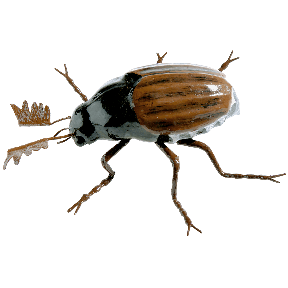 Deko Maikäfer, 20 cm - 1