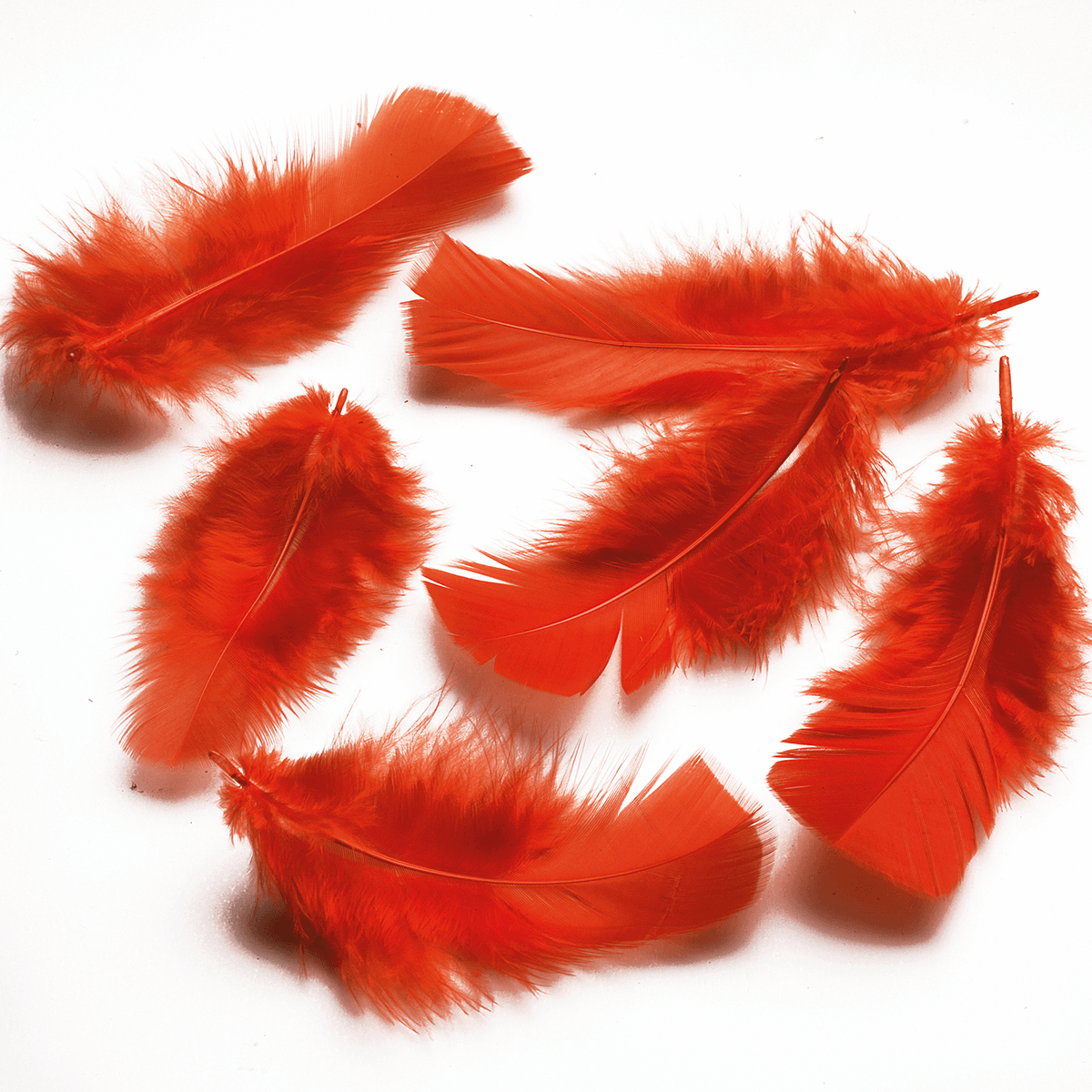 Plumes déco rouges, 20 g - 2