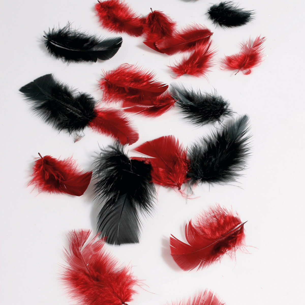 Plumes déco rouges, 20 g - 5