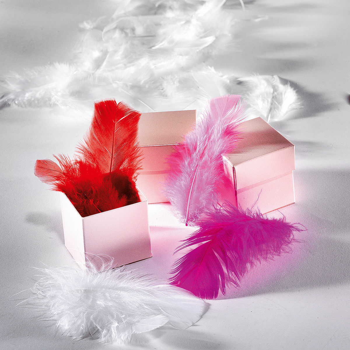 Plumes déco rouges, 20 g - 4