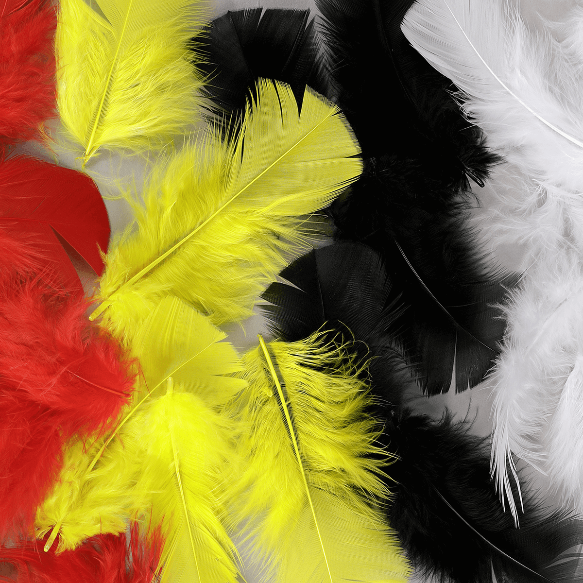 Plumes déco rouges, 20 g - 1