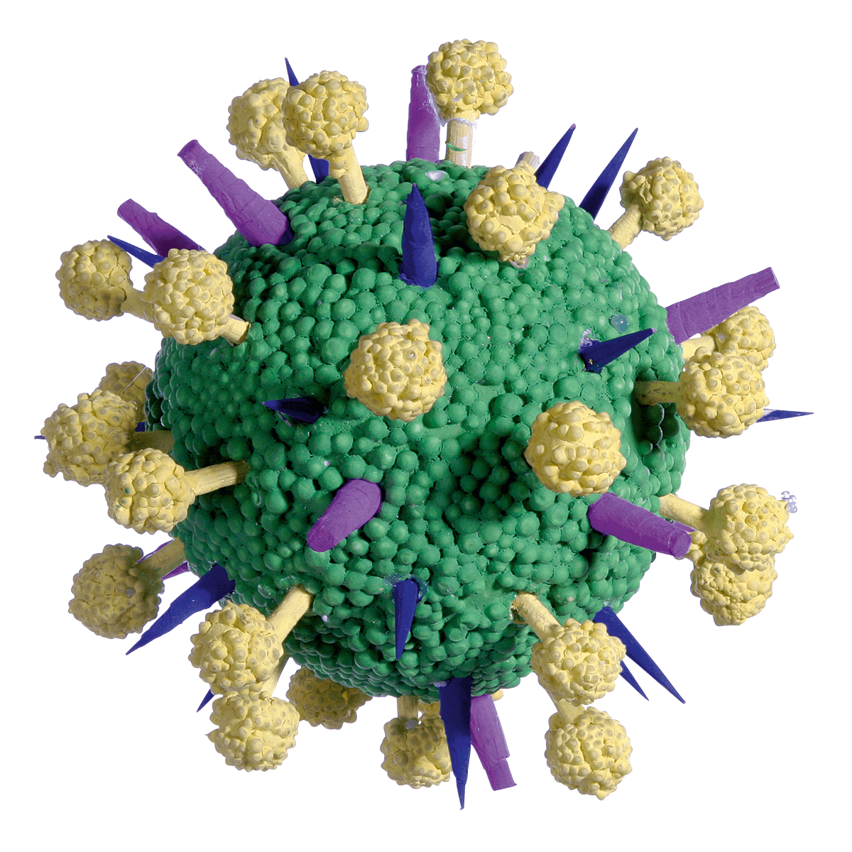Deco-object Giant Viruses, 2 pieces - 1