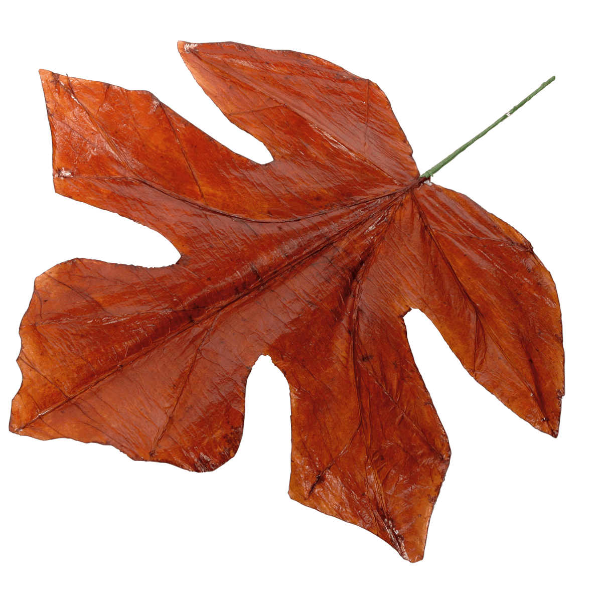 Decorative autumn leaves 80 cm, 3 pcs - 1 Decorative autumn leaves 80 cm, 3 pcs - 1