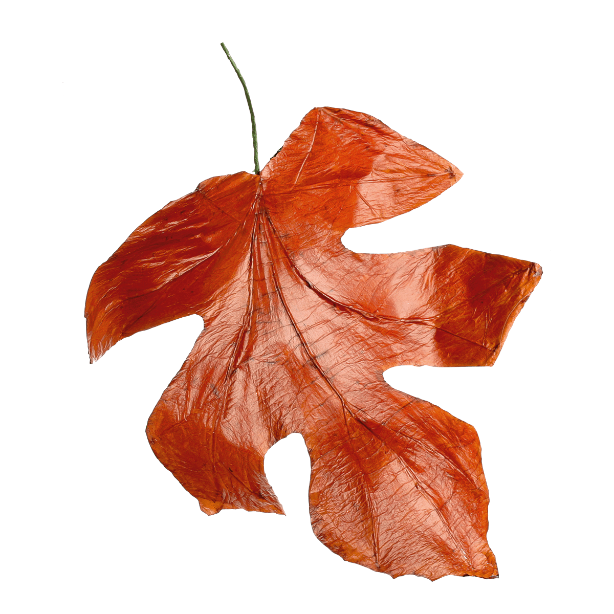 Decorative autumn leaves 80 cm, 3 pcs - 5 Decorative autumn leaves 80 cm, 3 pcs - 5