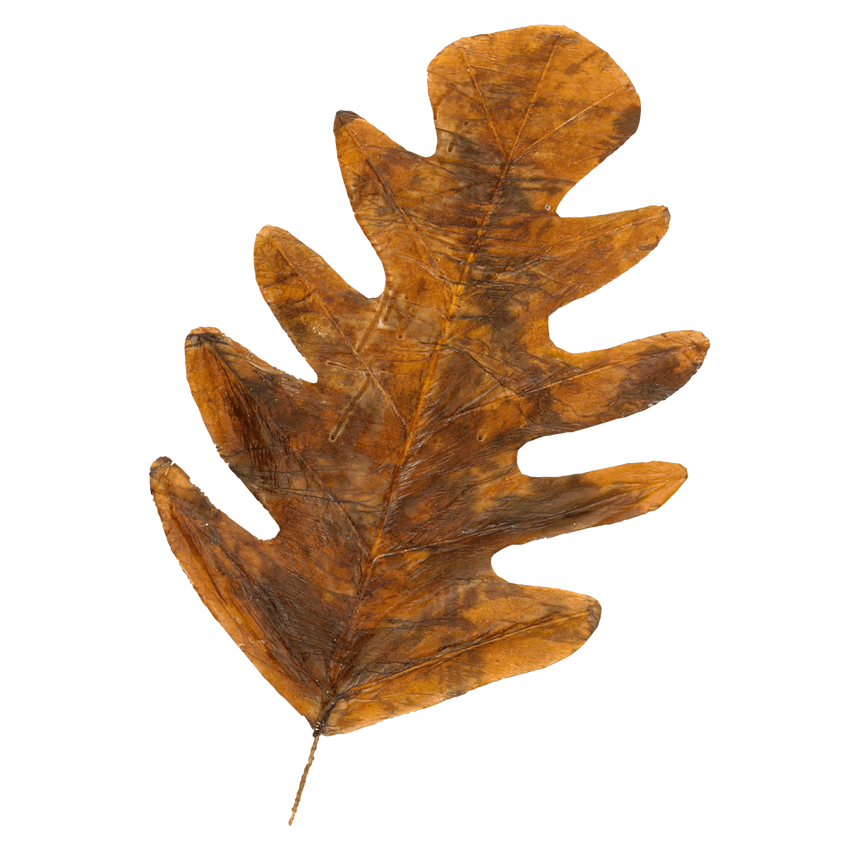 Decorative autumn leaves 80 cm, 3 pcs - 3 Decorative autumn leaves 80 cm, 3 pcs - 3