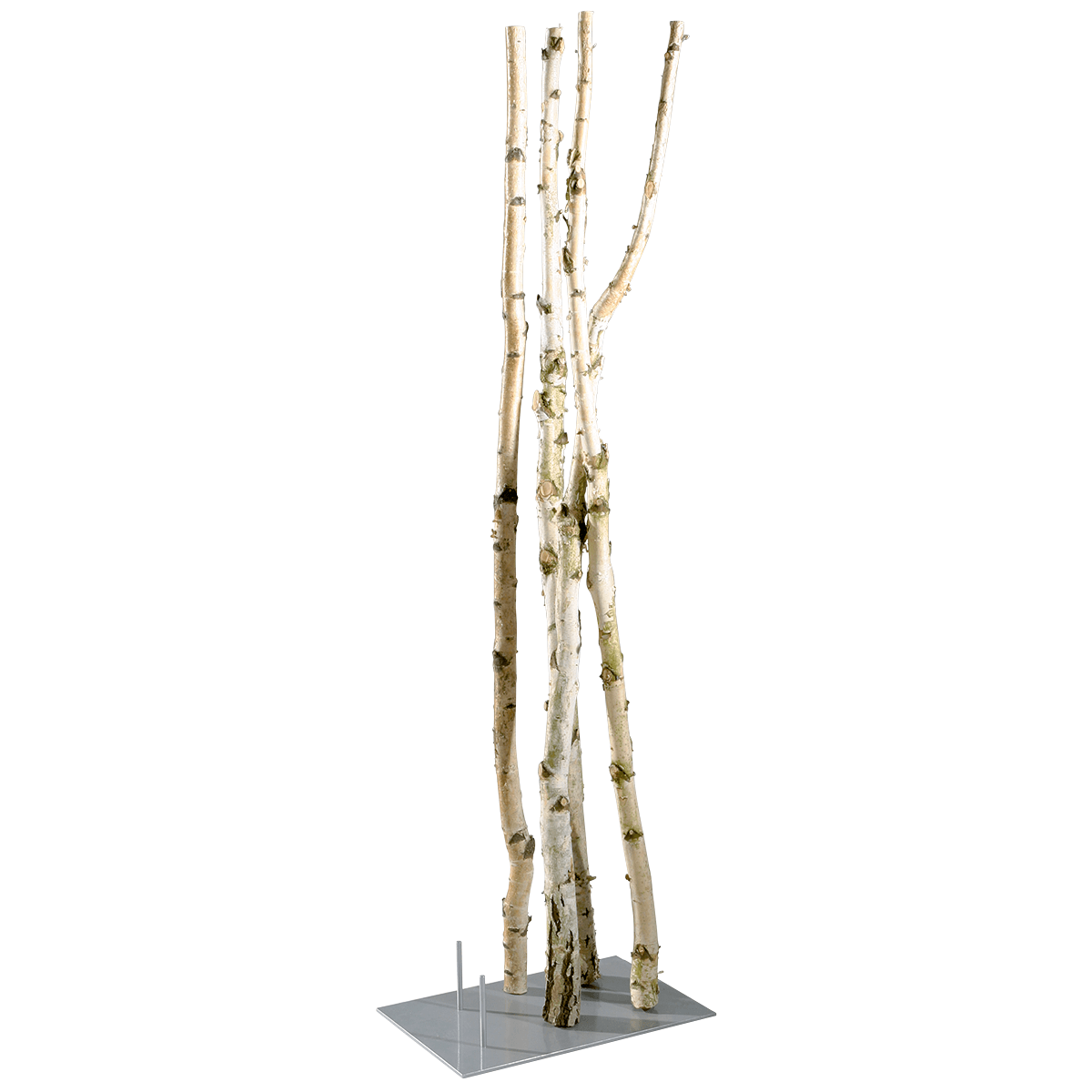 Decorative birch trunks 220 cm - 1