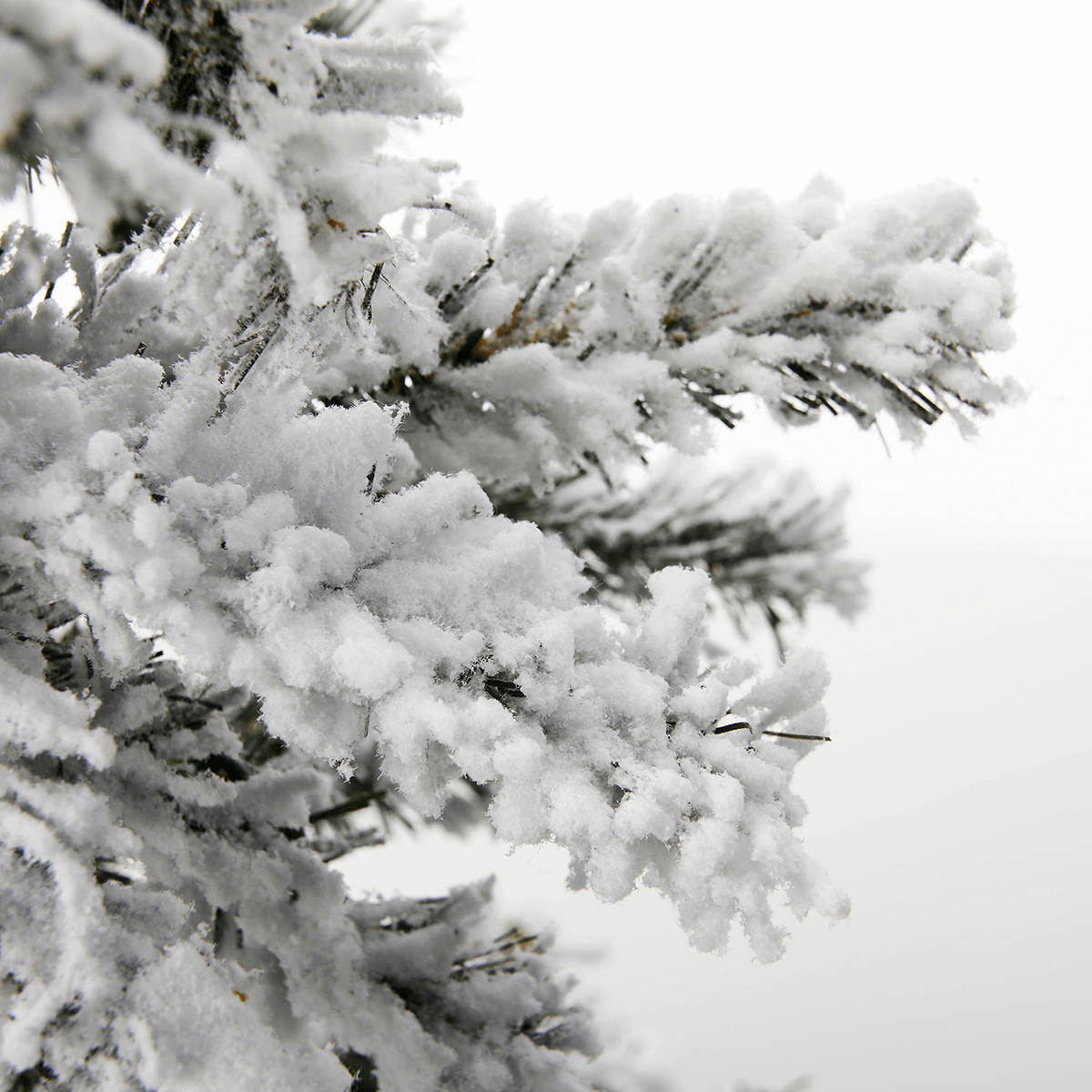 Snowy Artificial Alpine Fir Tree with LED 60 cm - 2