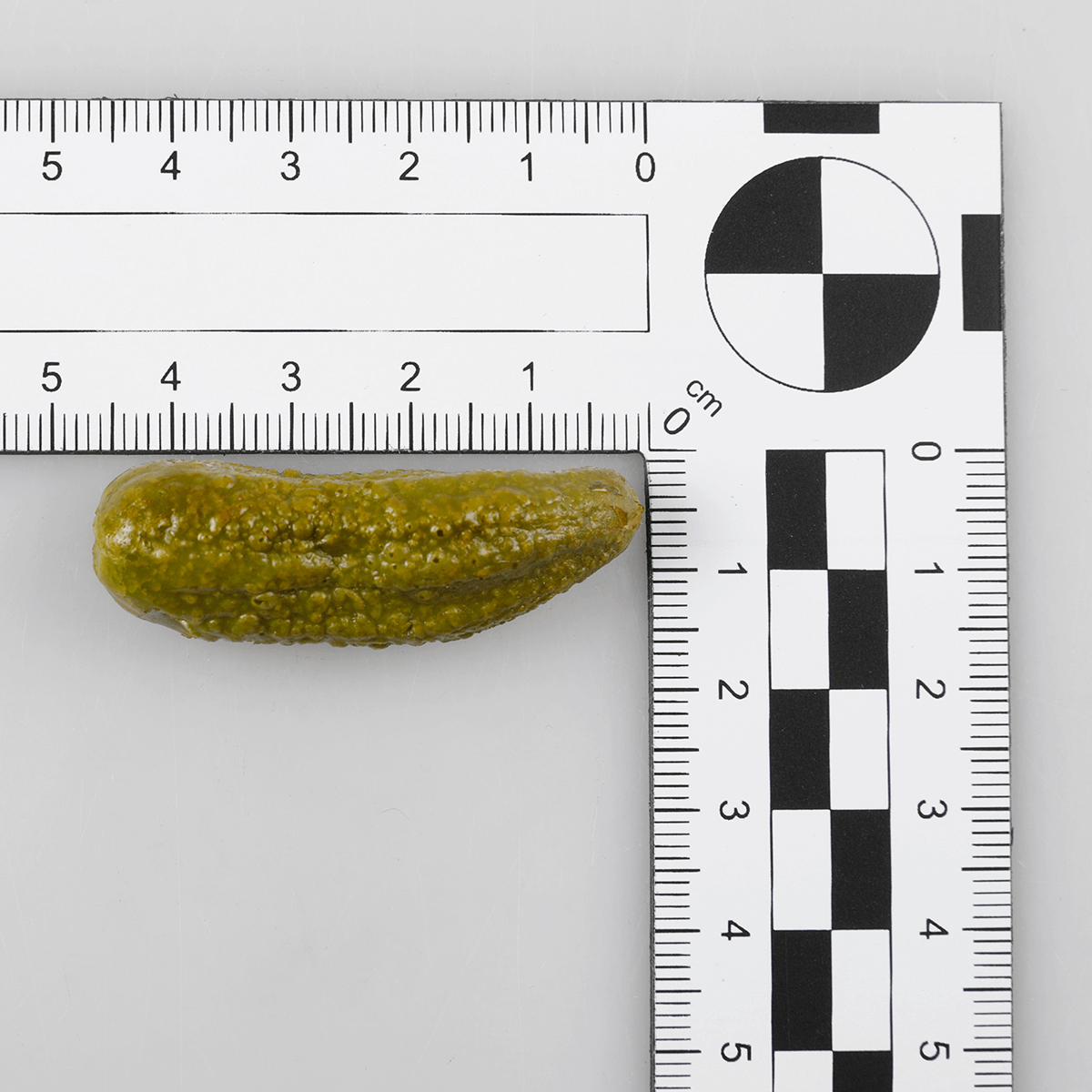 Mixed pickles food replica - 3