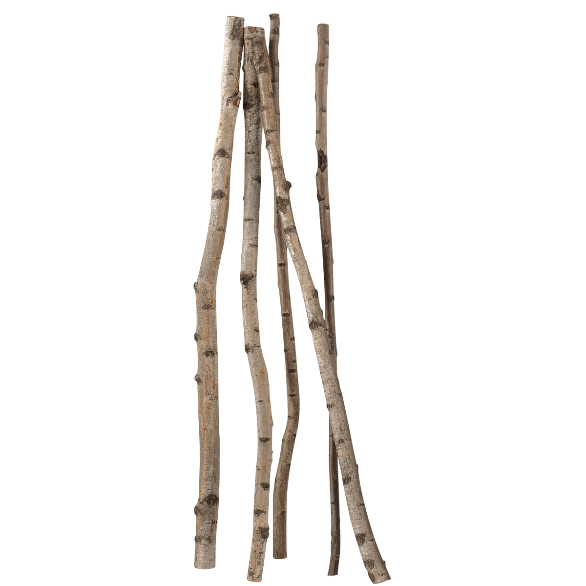 Troncos de abedul decorativos, 170 cm, 5 piezas - 0
