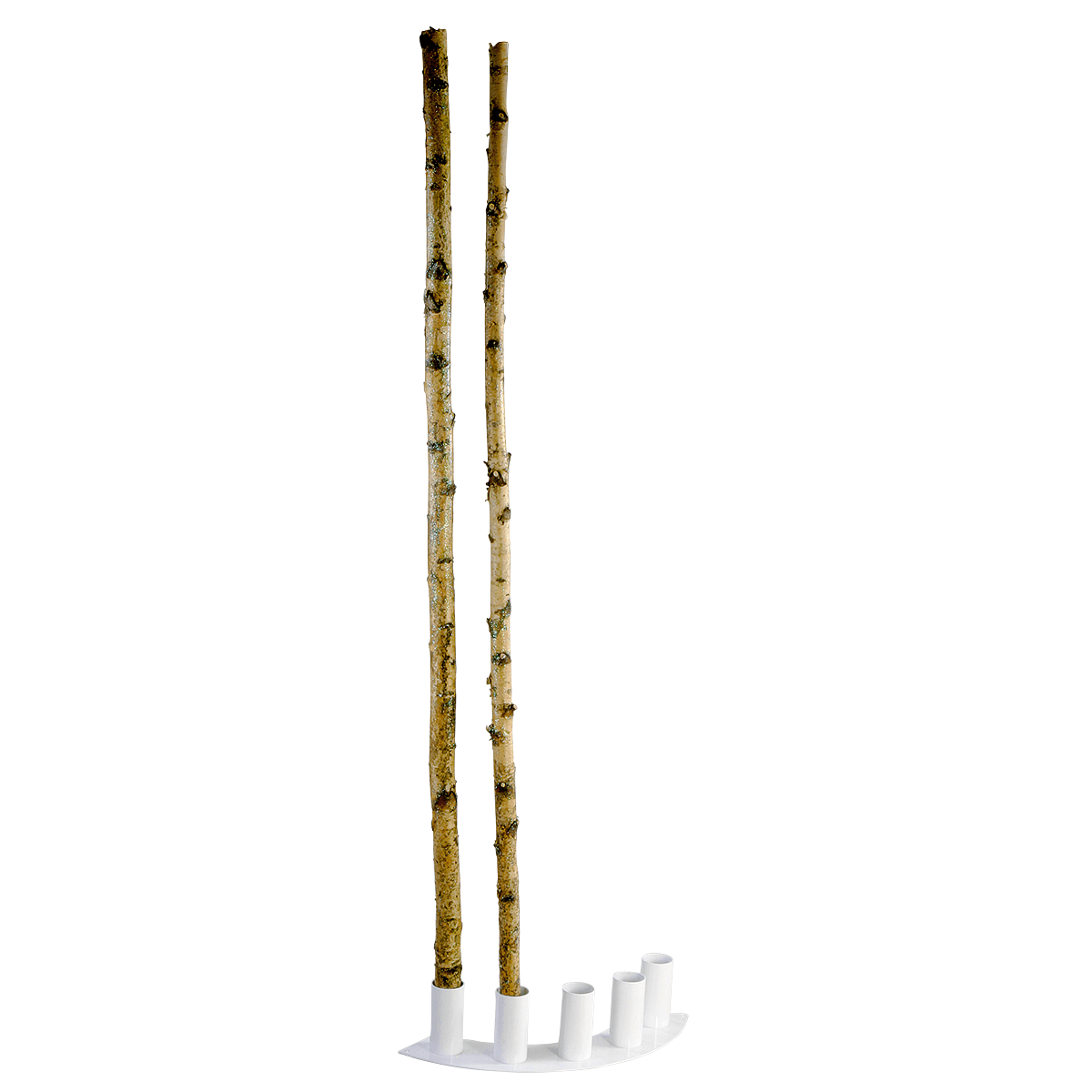 Troncos de abedul decorativos, 170 cm, 5 piezas - 1