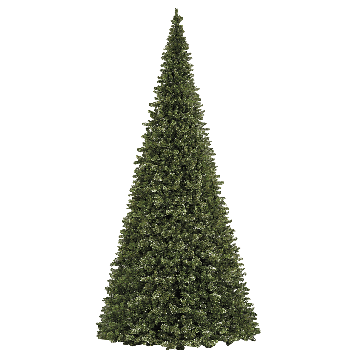 Gigantbaum "Majestic" 880 cm - 0 Gigantbaum "Majestic" 880 cm - 0