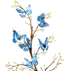 Mariposas decorativas, 10 cm, color azul, 6 piezas