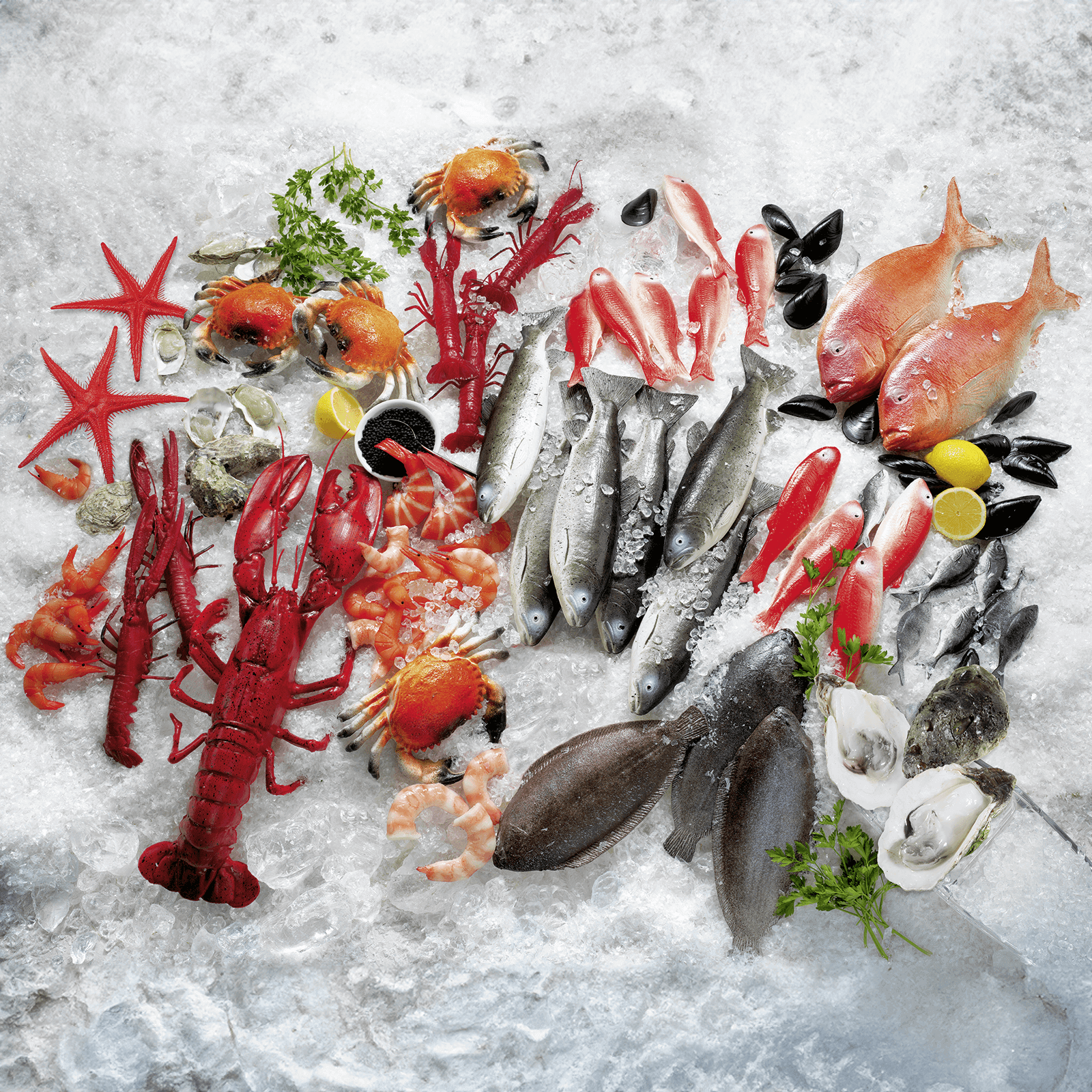 Perche factice pour aliments 36 cm - 2