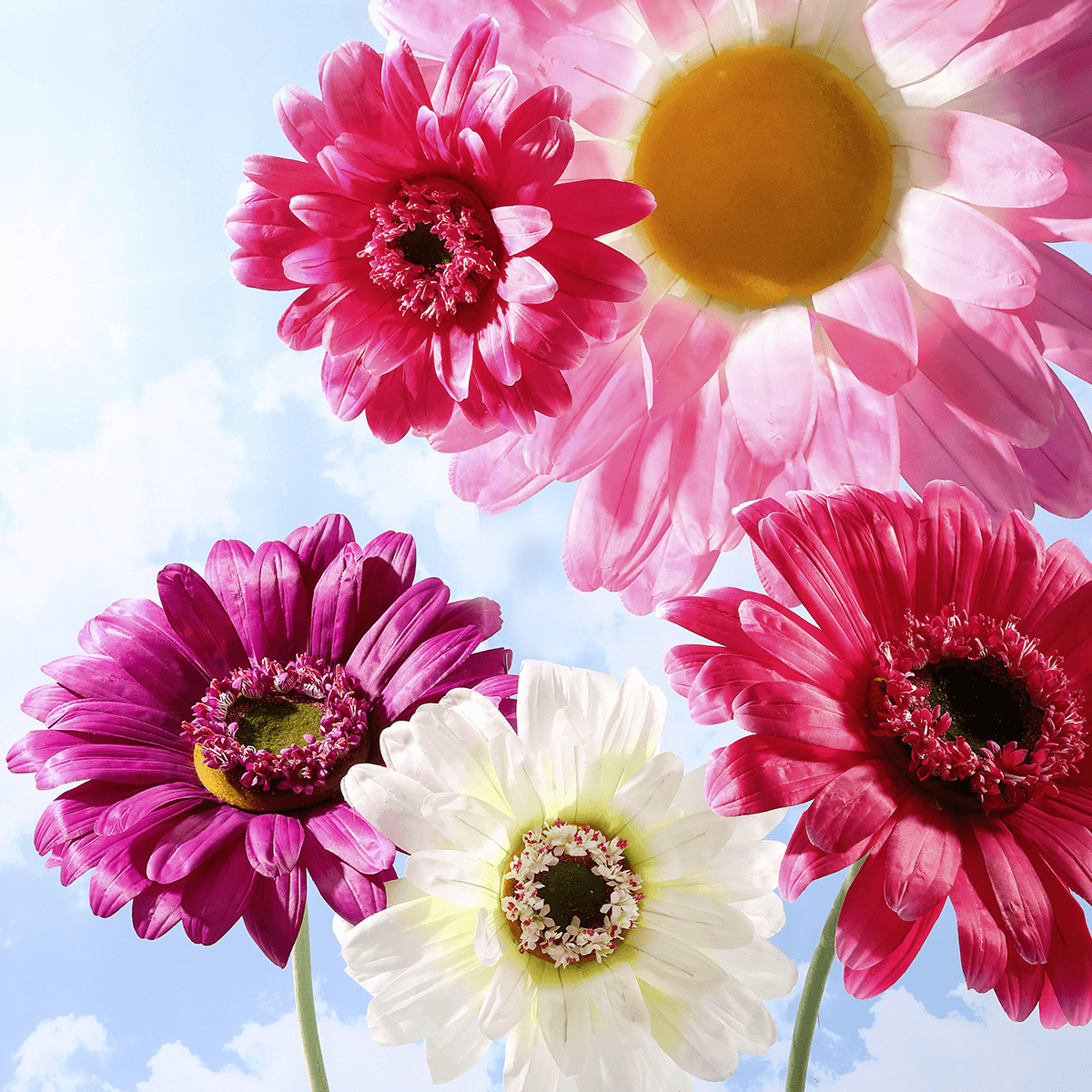 Flor de gerbera gigante artificial, Ø 45 cm, color fucsia - 4