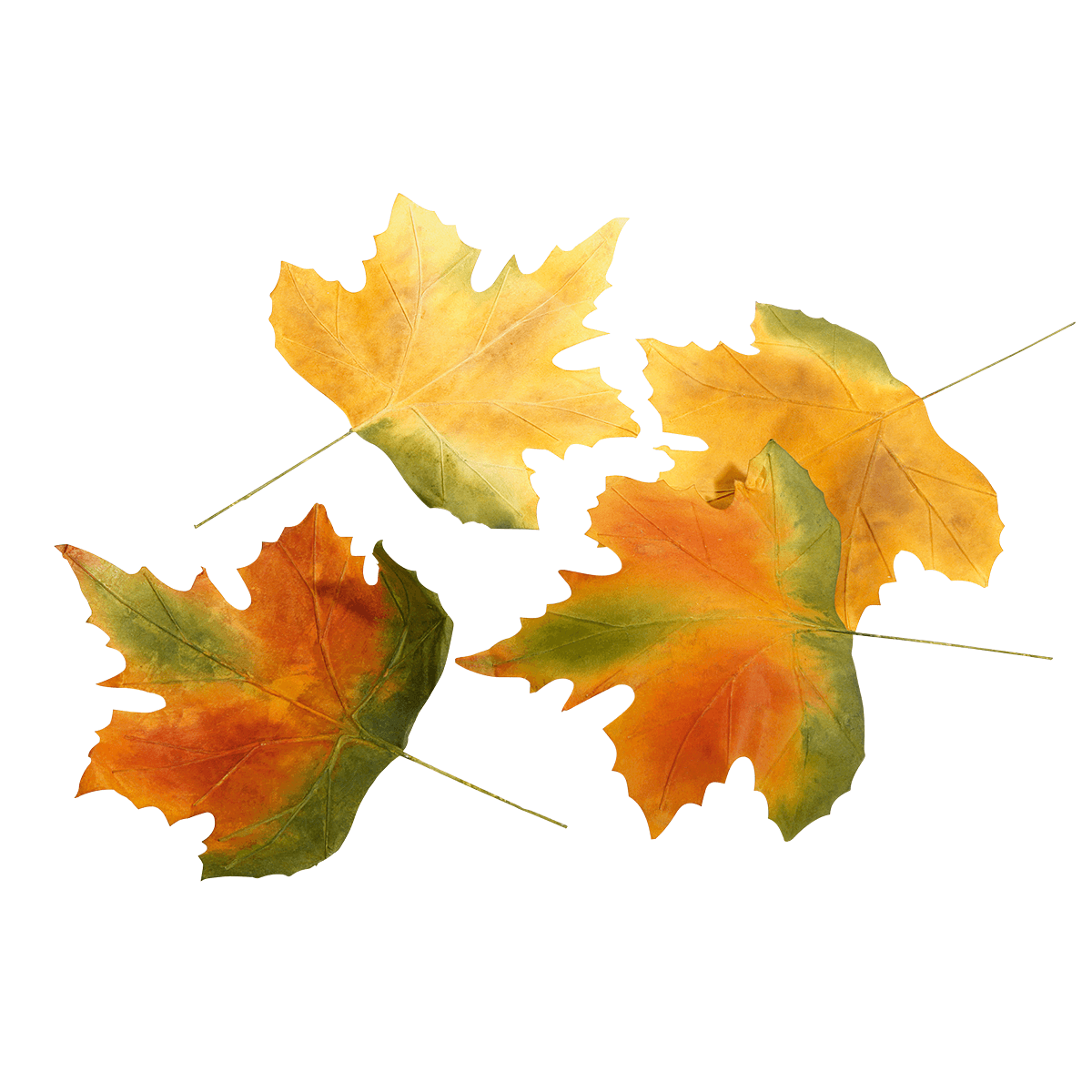 Feuilles d'automne déco 50 cm, 4 pces - 0