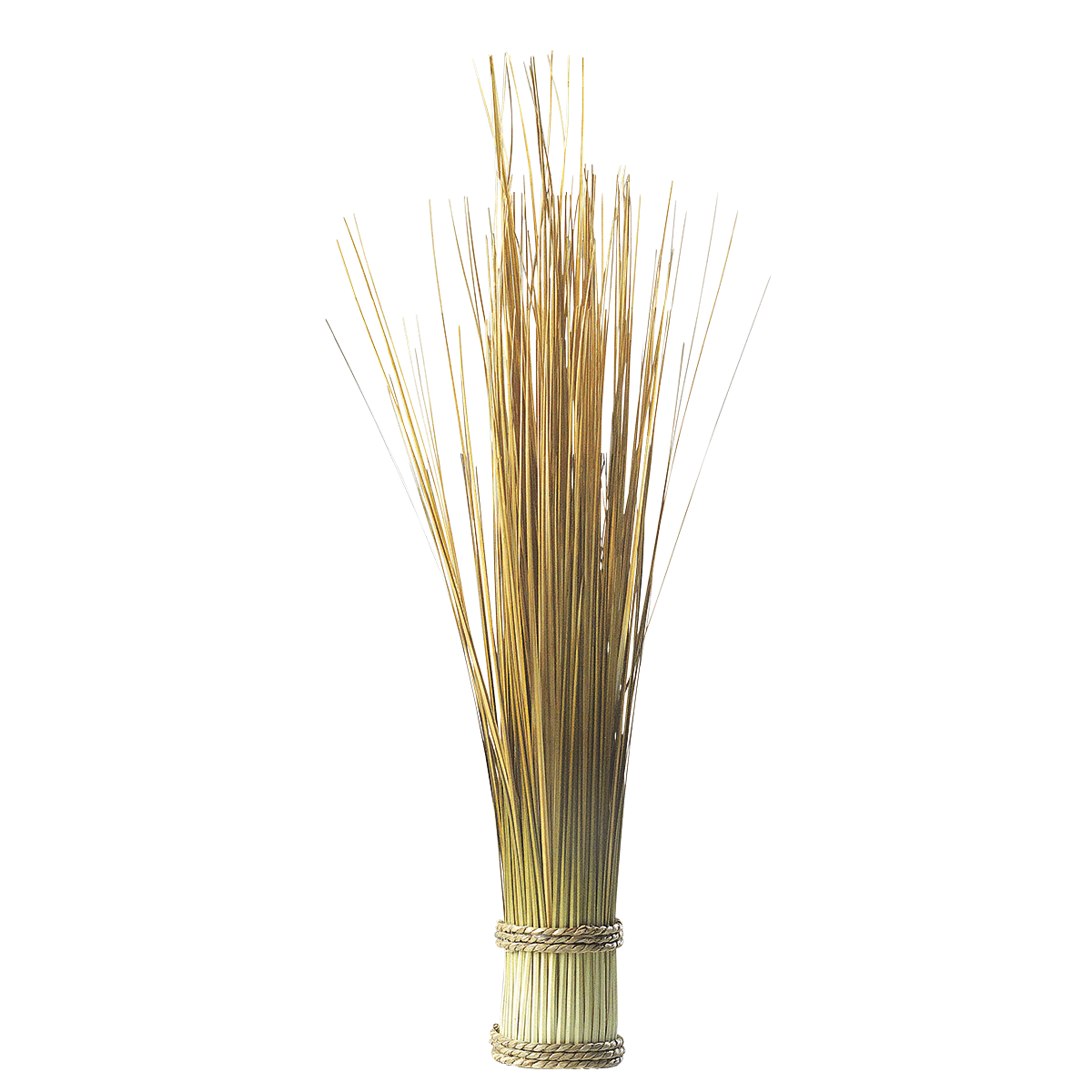 Fagot d’herbe déco, long. 50 cm - 0