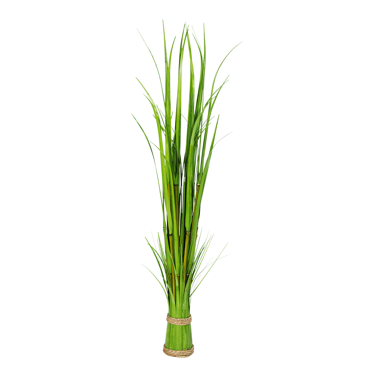 Carrizo decorativo 90 cm - 0