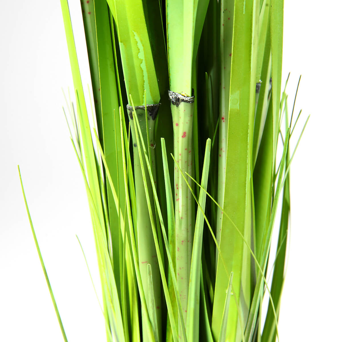 Carrizo decorativo 90 cm - 1