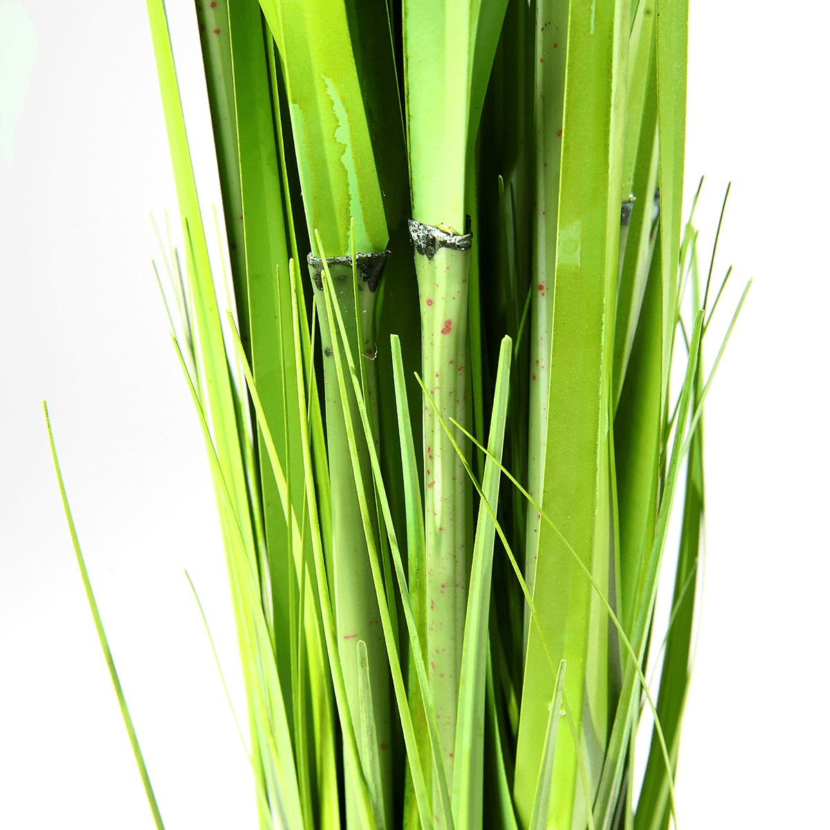 Carrizo decorativo, 150 cm - 1