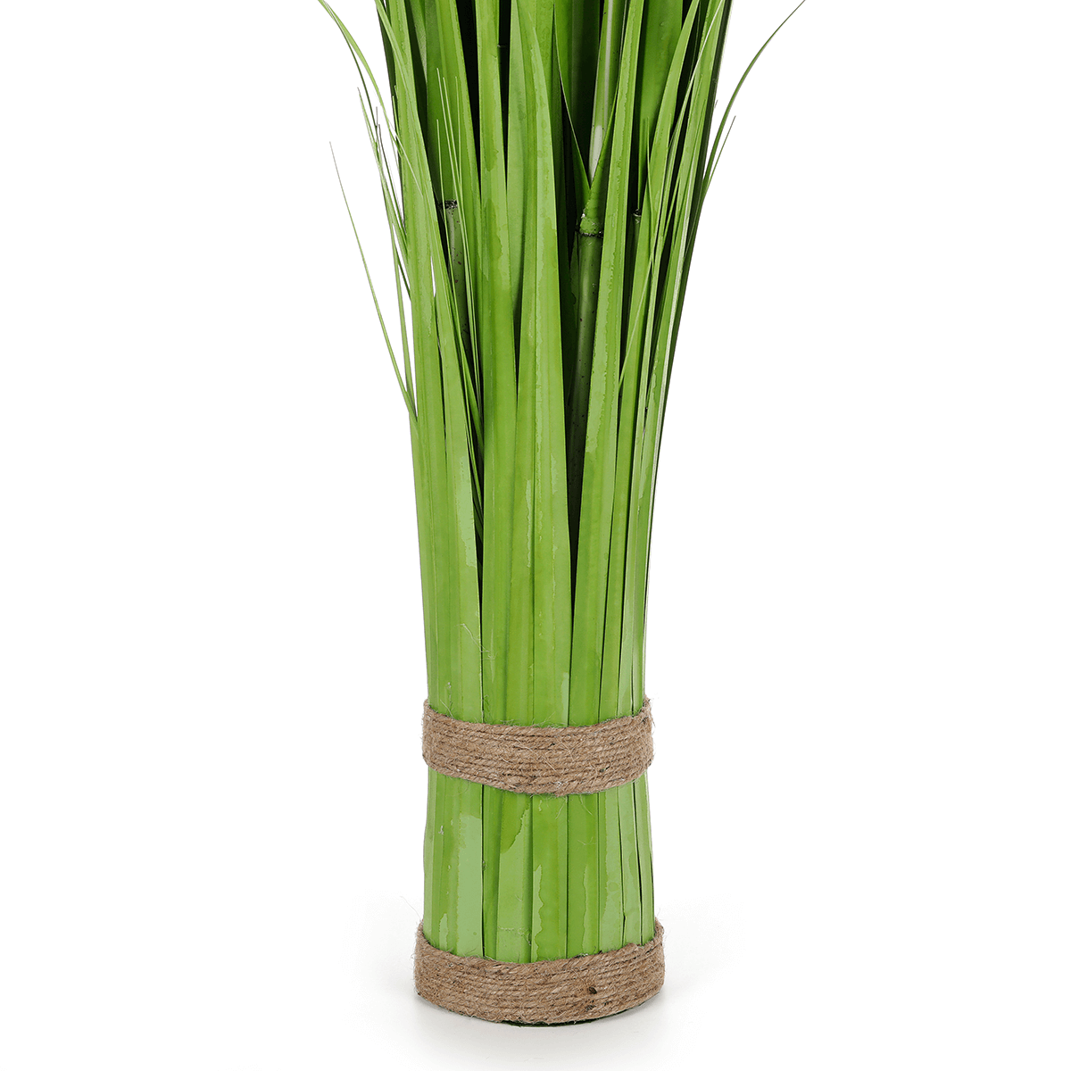 Carrizo decorativo, 150 cm - 5