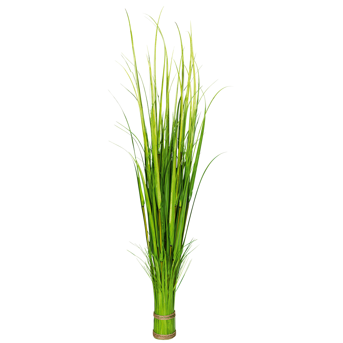 Carrizo decorativo, 150 cm - 0