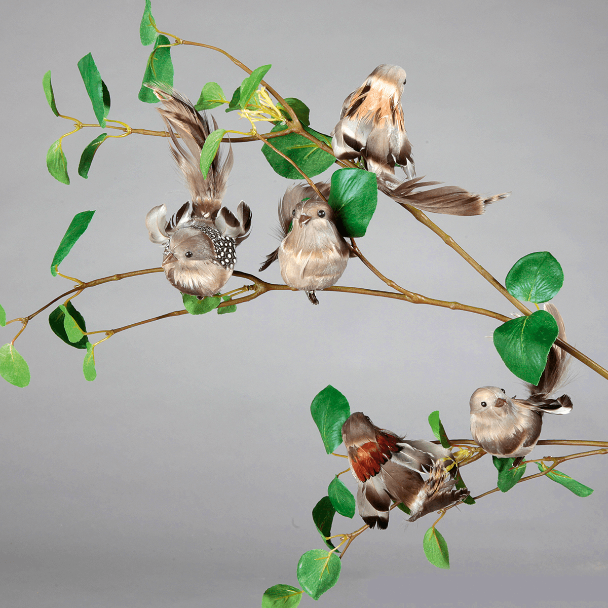 Moineau déco 17 cm, 6 pces - 5