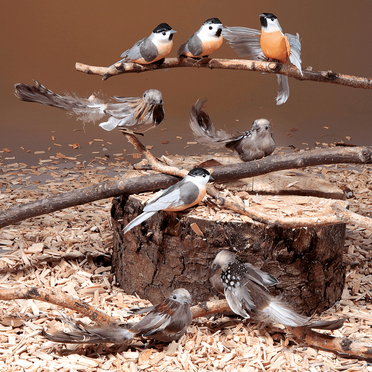 Moineau déco 17 cm, 6 pces - 4