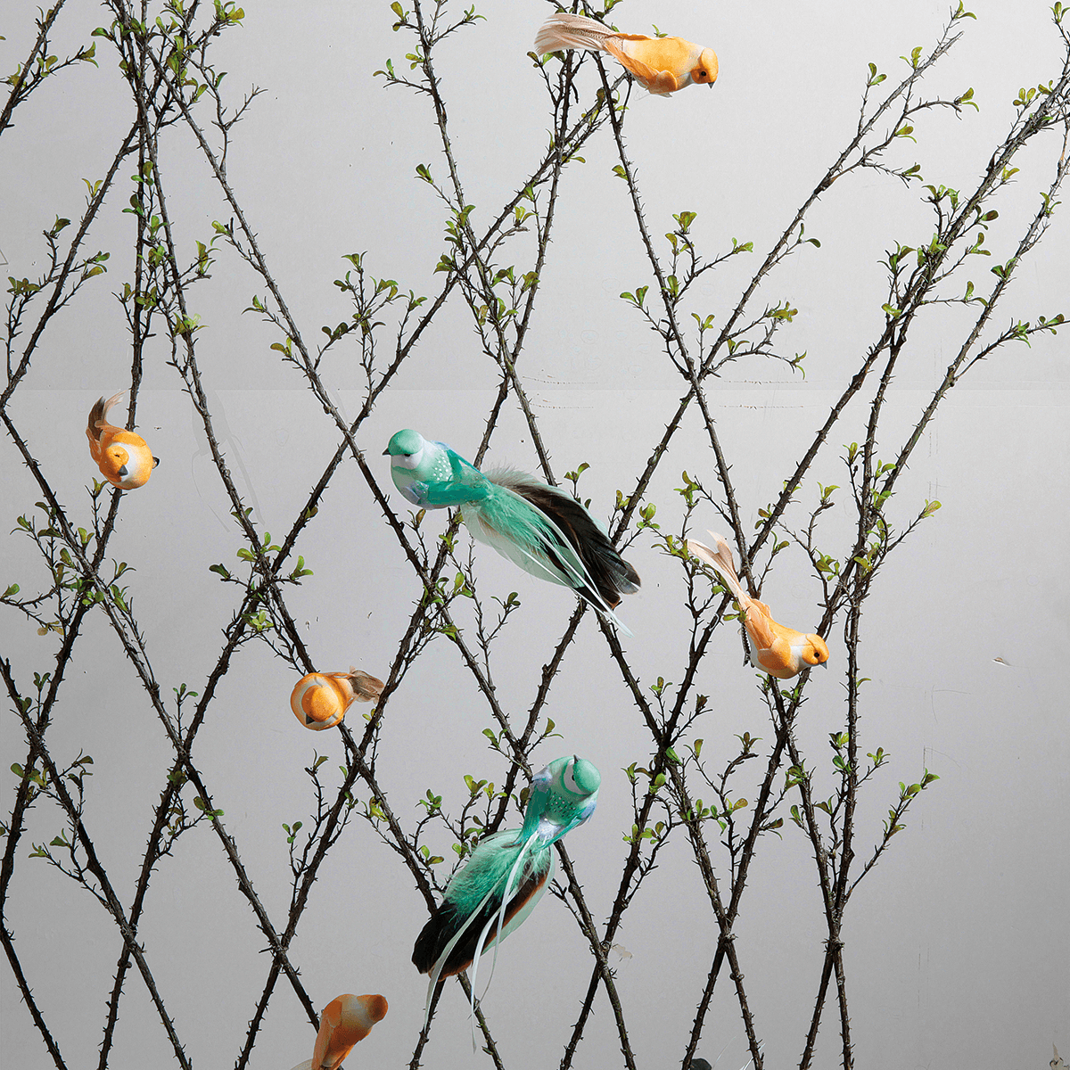 Oiseaux déco orange 10 cm, 6 pces - 8