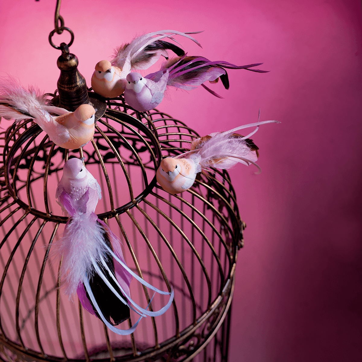 Oiseaux déco orange 10 cm, 6 pces - 5