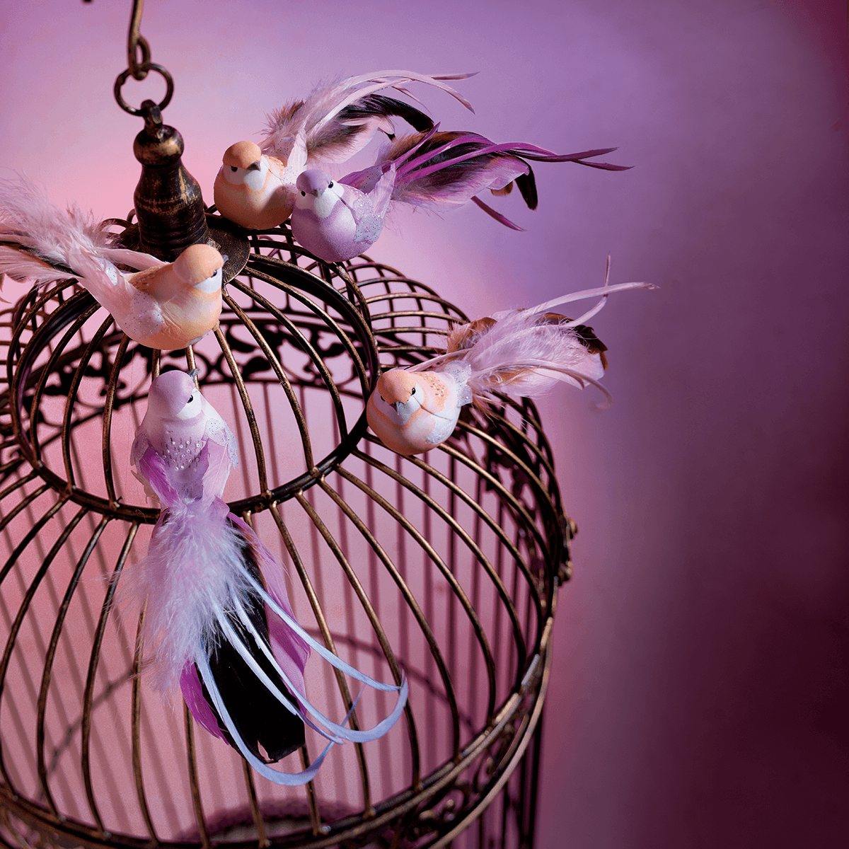 Oiseaux déco orange 10 cm, 6 pces - 7