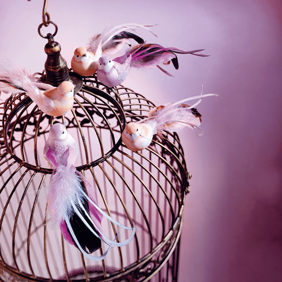 Oiseaux déco orange 10 cm, 6 pces - 6