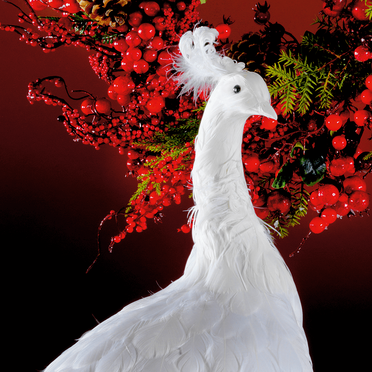 Deko Pfau weiß, 150 cm lang - 6