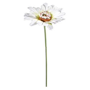 Margarita gigante blanca, 100 cm, Ø 36 cm