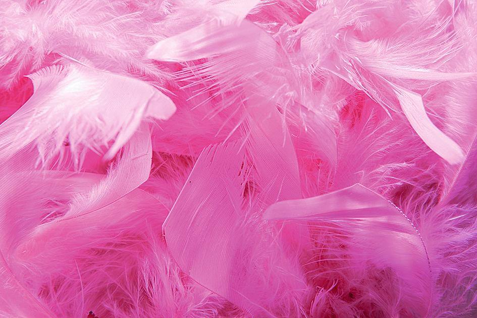 Boa de plumes, rose, 180 cm - 3