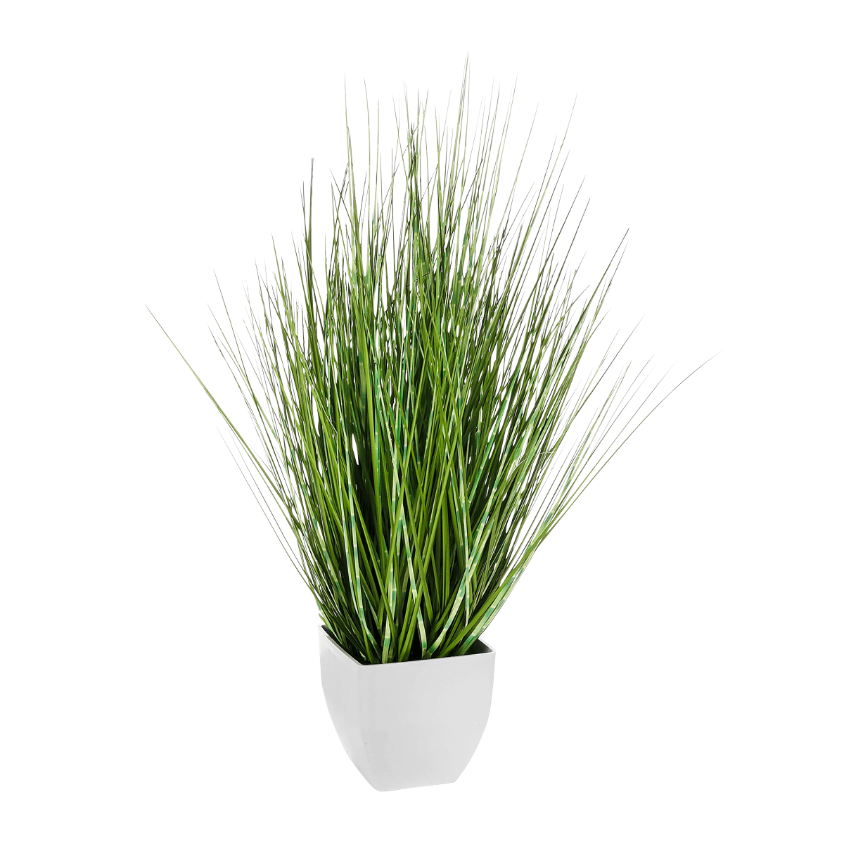 Deco hierba cebra en maceta blanca 50 cm - 0
