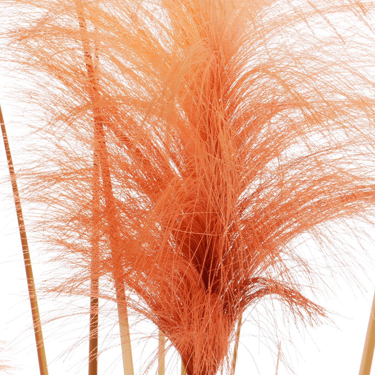 Orange gefärbtes Deko-Pampasgras im schwarzen Topf 117 cm - 1