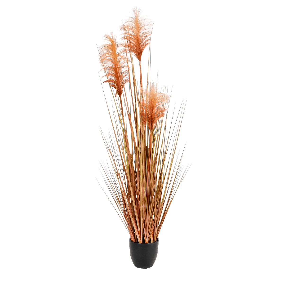Orange gefärbtes Deko-Pampasgras im schwarzen Topf 117 cm - 0