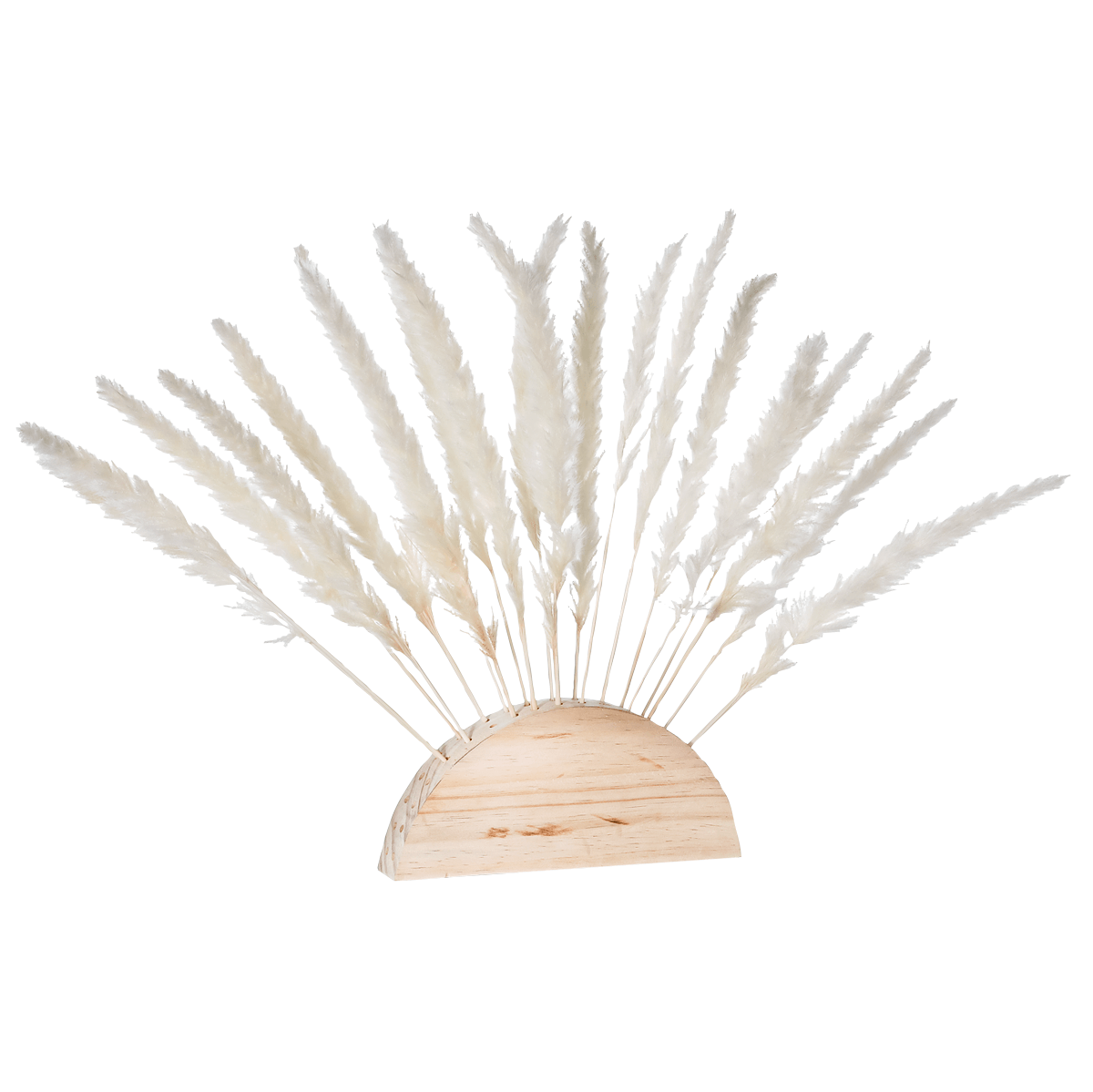 Pampas grass frond white to stick 45 cm - 0 Pampas grass frond white to stick 45 cm - 0