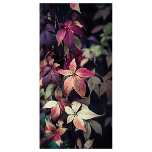 Banner Vine Leaves 100x200cm
