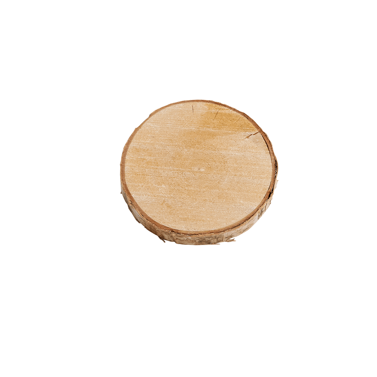 Birkenscheibe 3er Set 16 & 15 cm Ø x 2 cm Stärke - 2