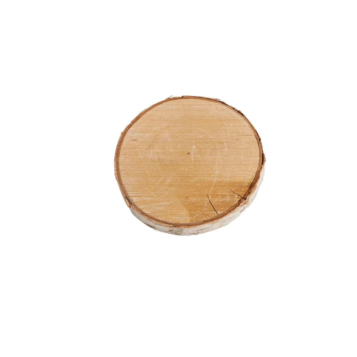 Birkenscheibe 3er Set 16 & 15 cm Ø x 2 cm Stärke - 3