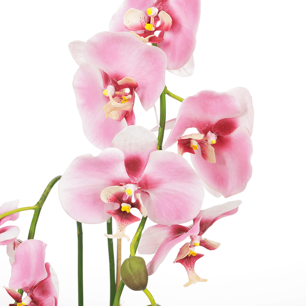 Orquídea decorativa en maceta rosa 80 cm - 2 Orquídea decorativa en maceta rosa 80 cm - 2