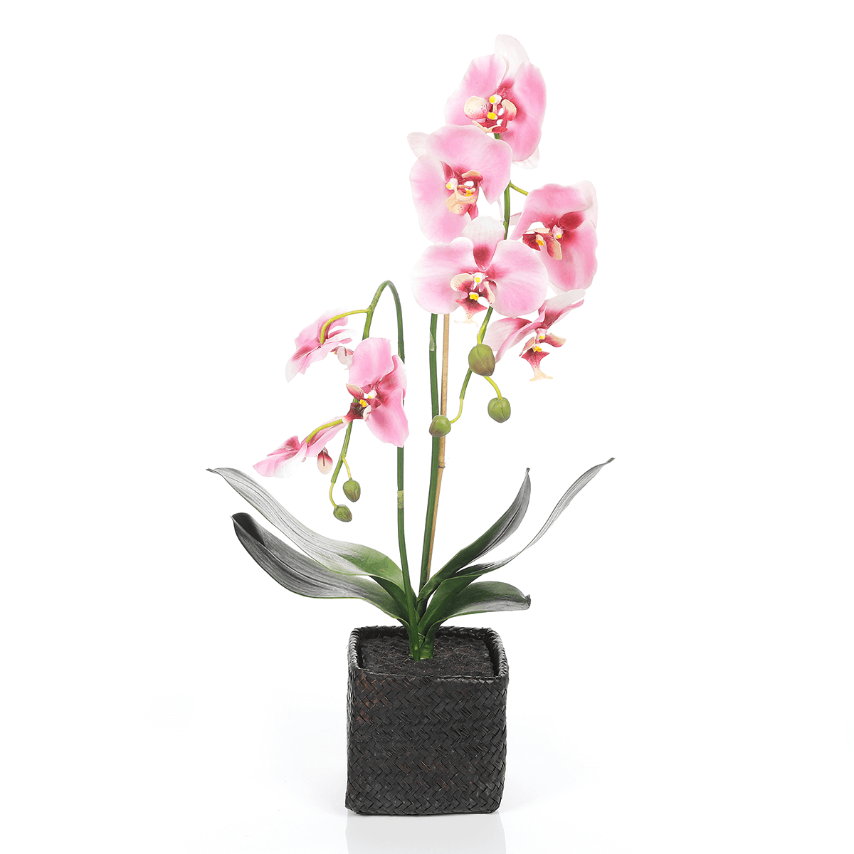 Orquídea decorativa en maceta rosa 80 cm - 1 Orquídea decorativa en maceta rosa 80 cm - 1