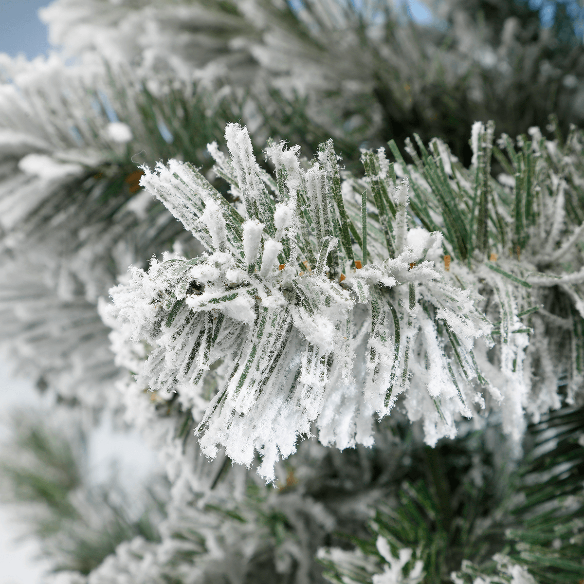 Narrow snow-covered artificial firs in different heights - 1